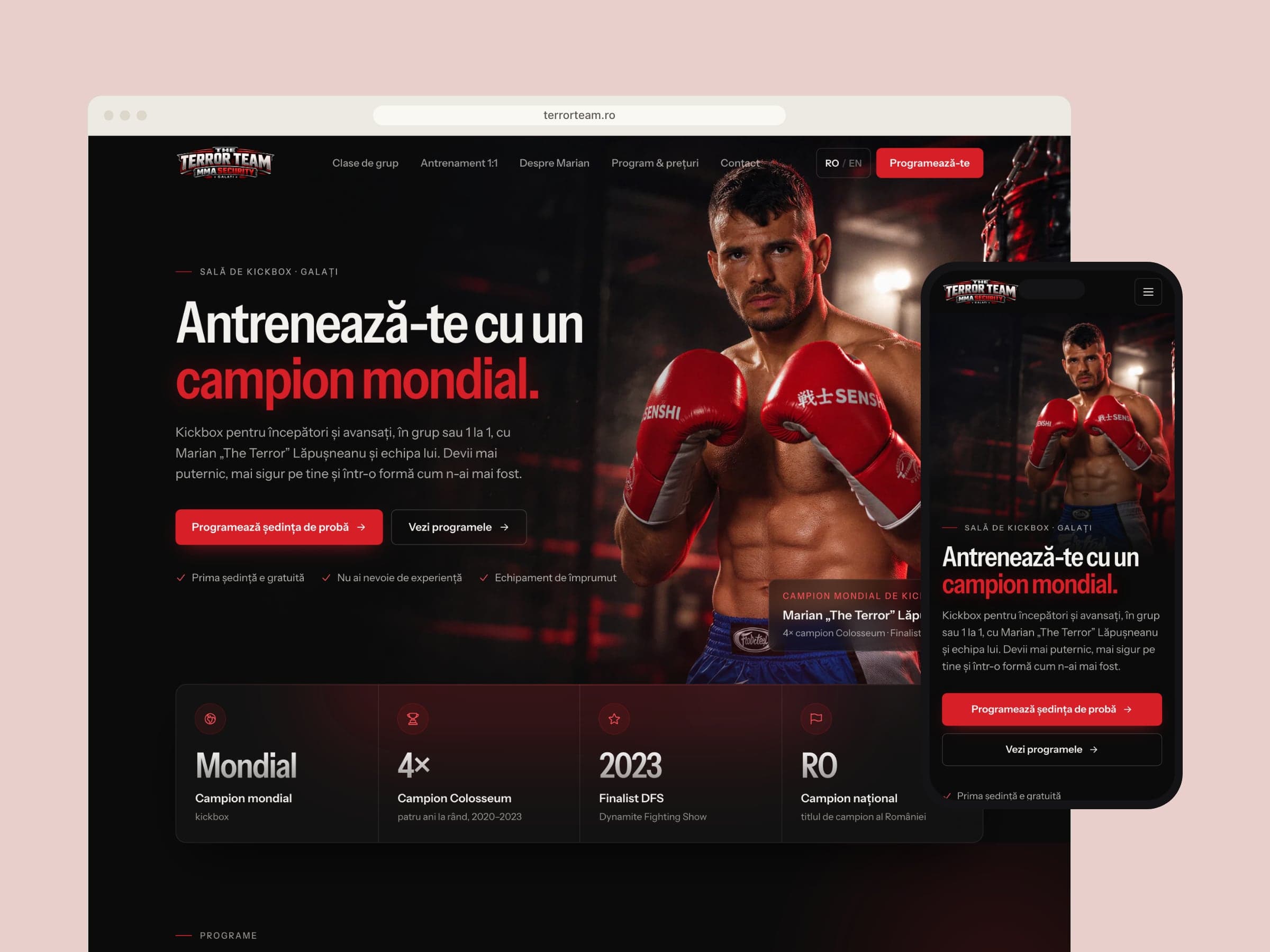 Terror Team: prezentarea lucrării finale