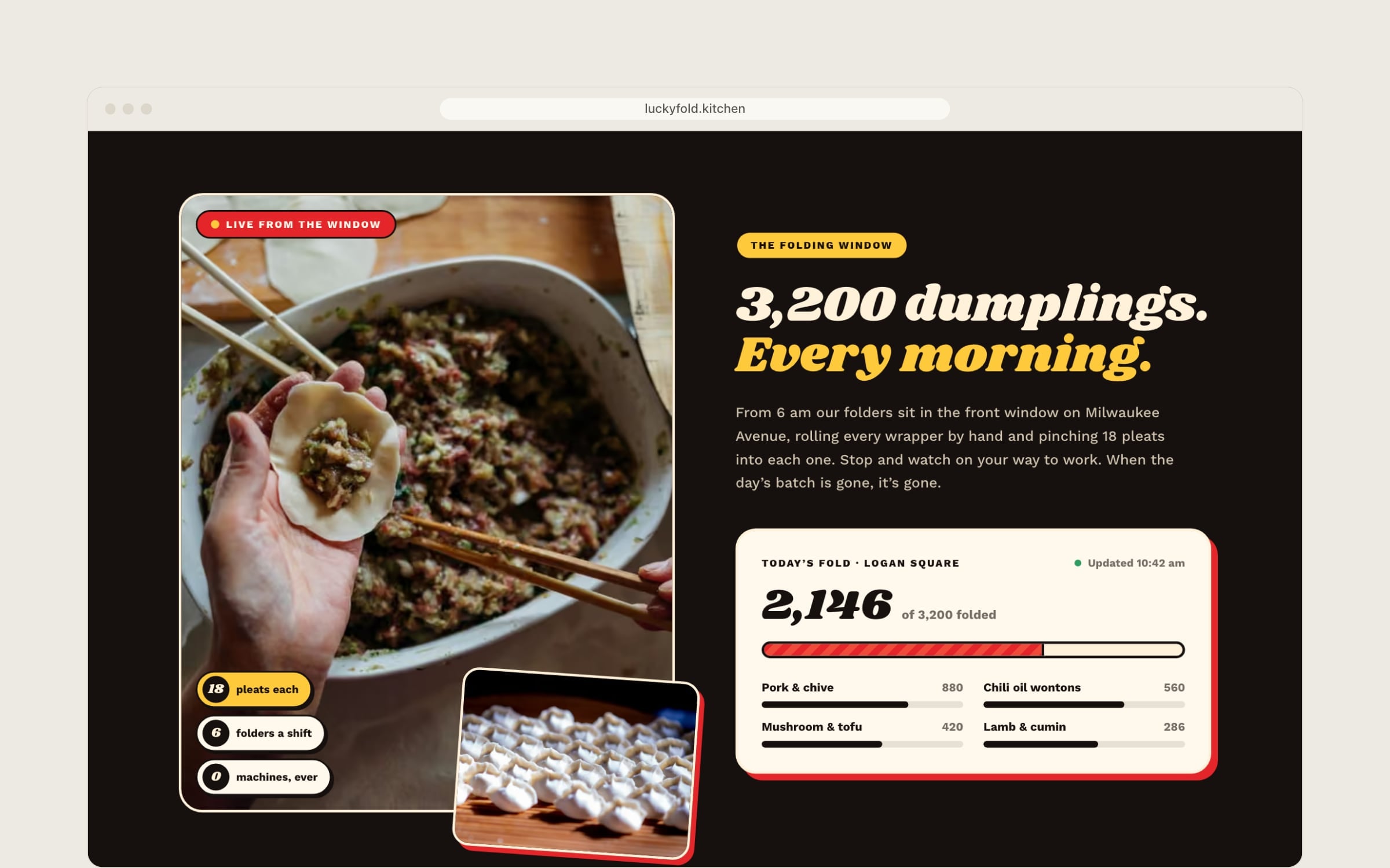 Fereastra unde se fac dumplings la Lucky Fold, pe fundal negru: mâini care împăturesc dumplings, cifre în stil abțibild și un contor al zilei pe umpluturi
